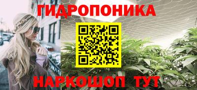 мдпв Гусь-Хрустальный