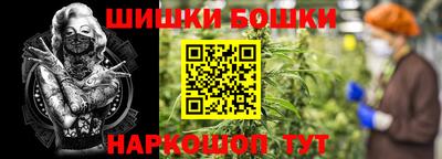 мдпв Гусь-Хрустальный
