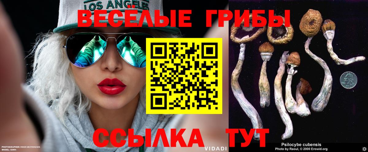 Псилоцибиновые грибы ЛСД Удомля